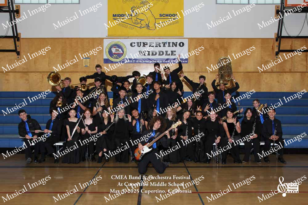 Musical Images